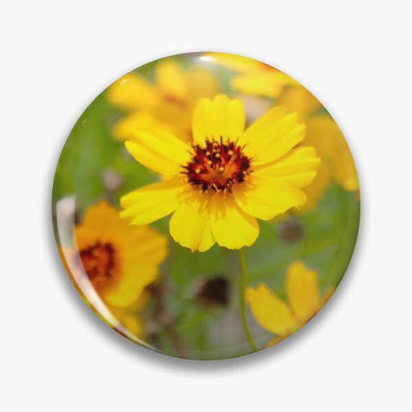 Artikelvorschau, West Texas gelbe Wildblumen entworfen und verkauft von FlashnScribble.