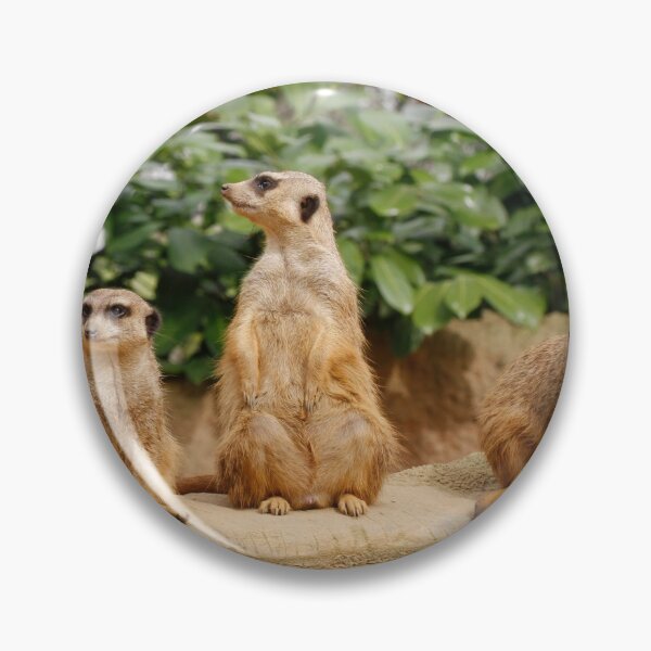 Item preview, Meerkat 008 designed and sold by JAMFoto.