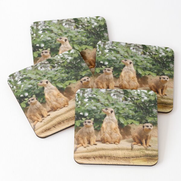Item preview, Meerkat 008 designed and sold by JAMFoto.