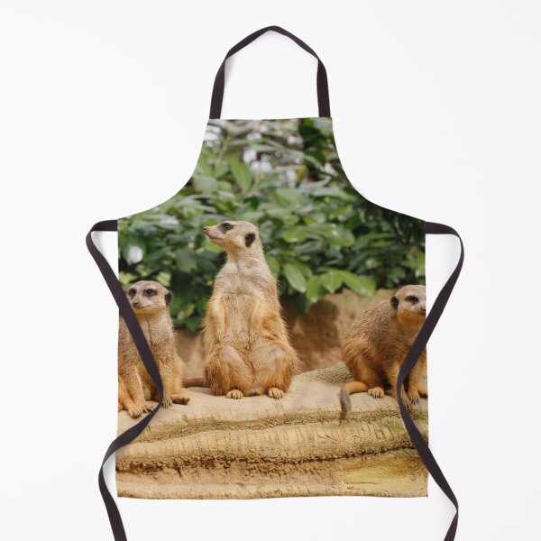 Item preview, Meerkat 008 designed and sold by JAMFoto.