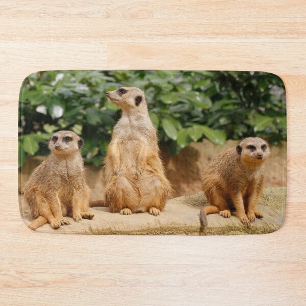 Item preview, Meerkat 008 designed and sold by JAMFoto.