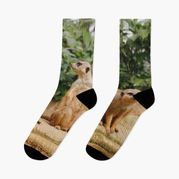 Item preview, Meerkat 008 designed and sold by JAMFoto.