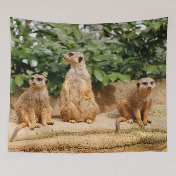 Item preview, Meerkat 008 designed and sold by JAMFoto.
