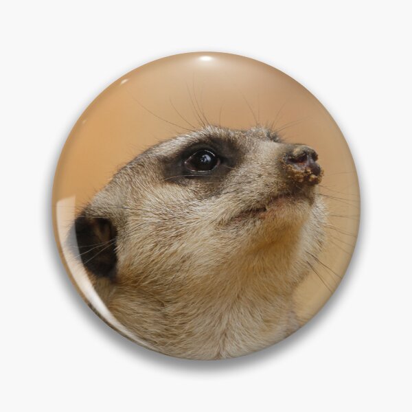 Artikelvorschau, Meerkat 011 entworfen und verkauft von JAMFoto.