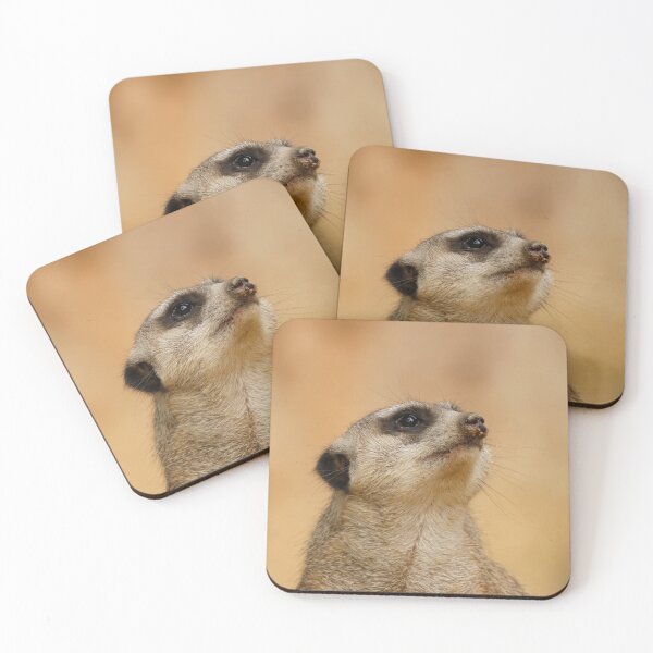 Item preview, Meerkat 011 designed and sold by JAMFoto.