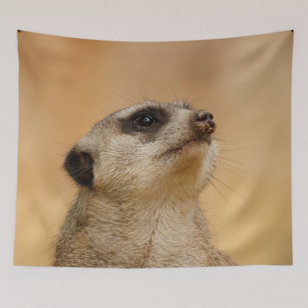 Item preview, Meerkat 011 designed and sold by JAMFoto.
