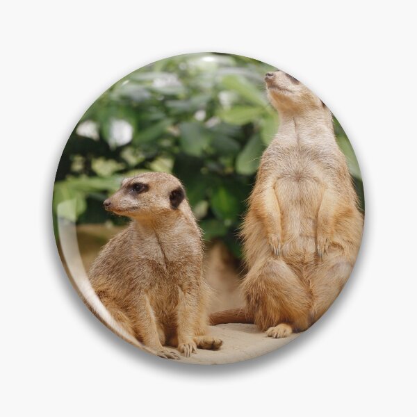Artikelvorschau, Meerkat 009 entworfen und verkauft von JAMFoto.