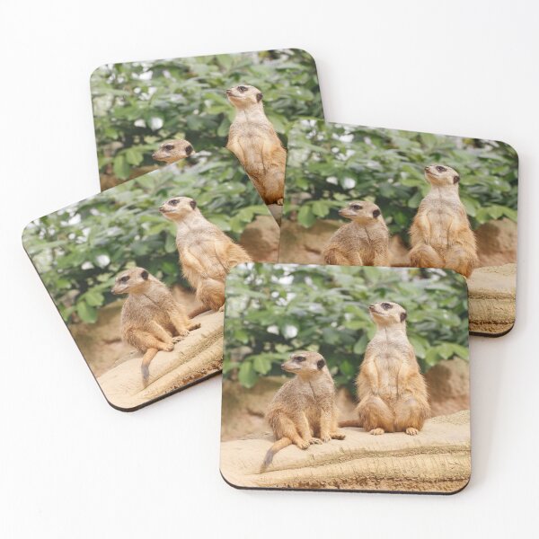 Item preview, Meerkat 009 designed and sold by JAMFoto.