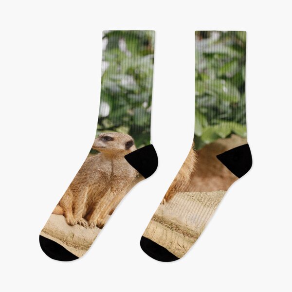 Item preview, Meerkat 009 designed and sold by JAMFoto.