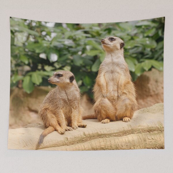 Item preview, Meerkat 009 designed and sold by JAMFoto.