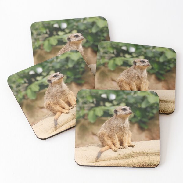 Item preview, Meerkat 010 designed and sold by JAMFoto.