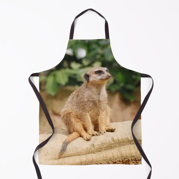 Item preview, Meerkat 010 designed and sold by JAMFoto.