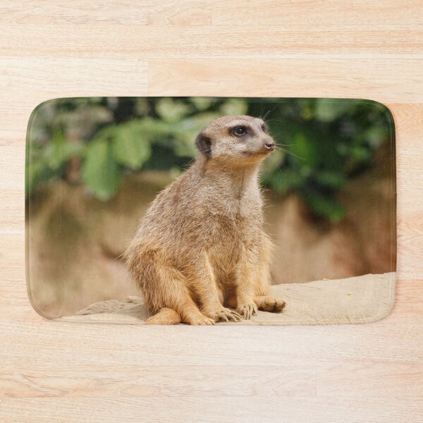 Item preview, Meerkat 010 designed and sold by JAMFoto.
