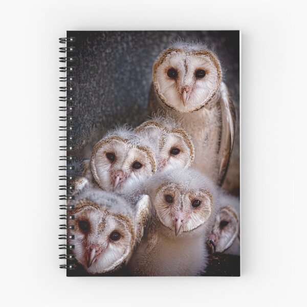 Item preview, Barn Owls designed and sold by Pene Stevens.