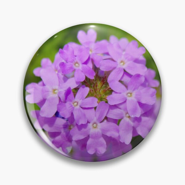 Item preview, Prairie Verbena designed and sold by FlashnScribble.