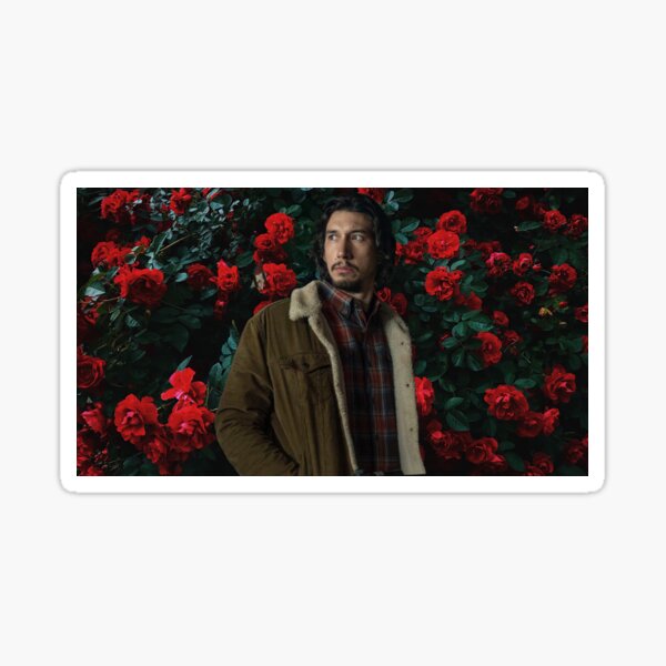 Vista previa del artículo con la obra «Adam Driver / Flip Zimmerman», diseñado y vendido por emarvin.