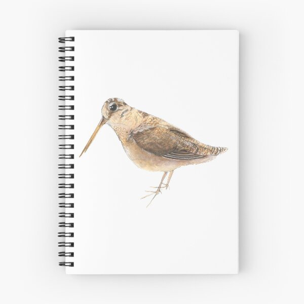Item preview, American Woodcock designed and sold by Alexis Rodefer.