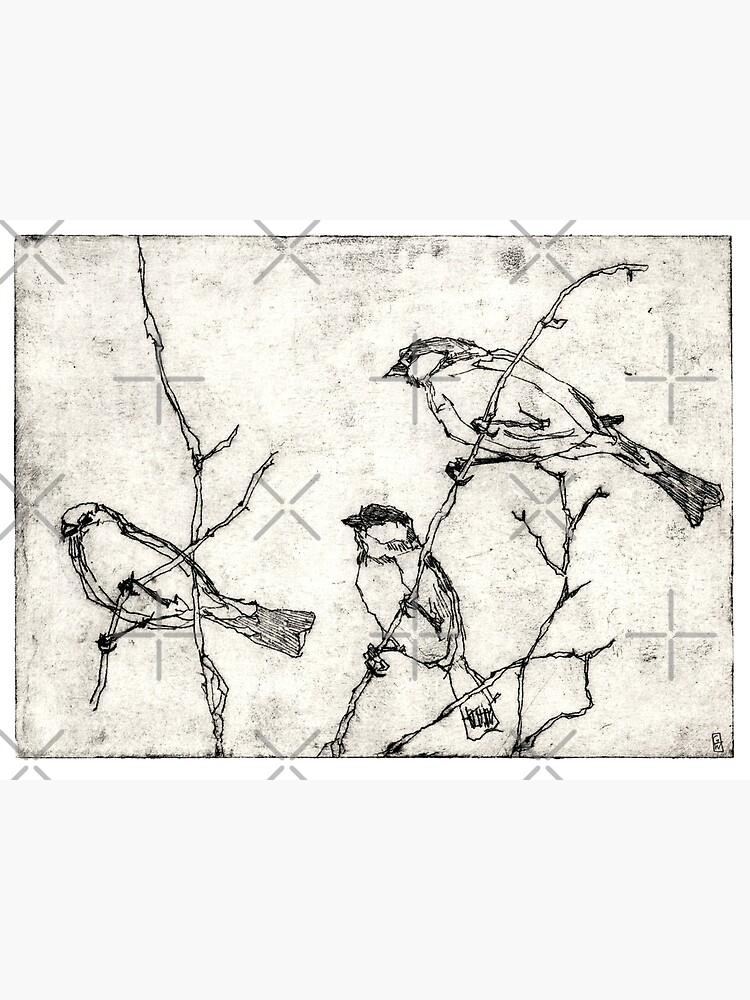 Thumbnail 3 von 3, Poster, Vögel Radierung designt und verkauft von ghostwillow.