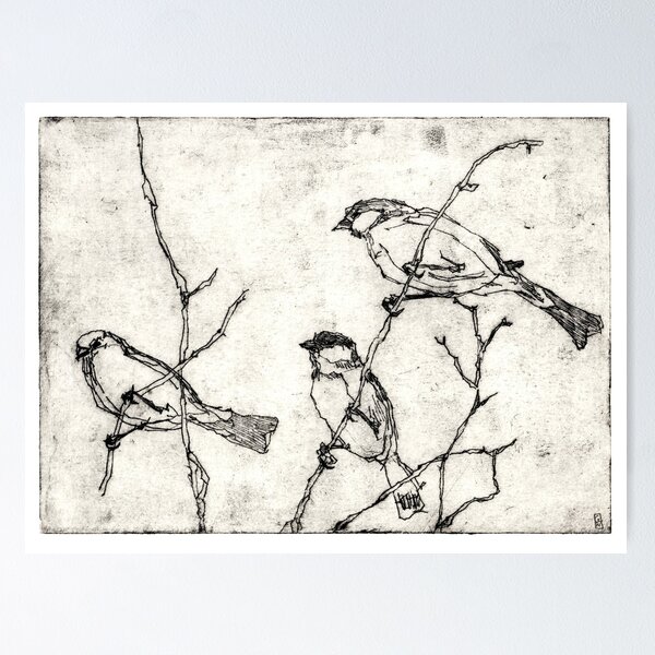Birds etching Poster