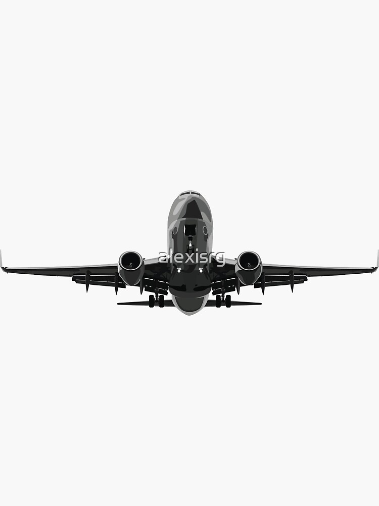 Grayscale Airplanes Vinyl