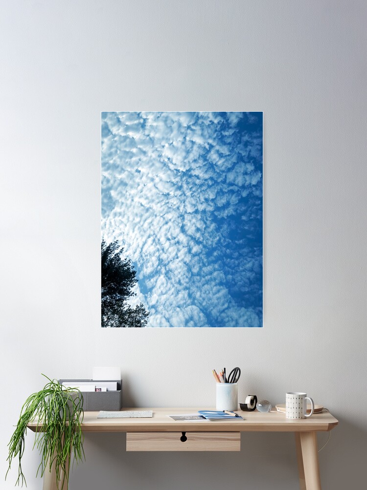 Thumbnail 1 of 3, Poster, Weather Gift - Cirrocumulus Clouds - Meteorology - Meteorologist designed and sold by OneDayArt.