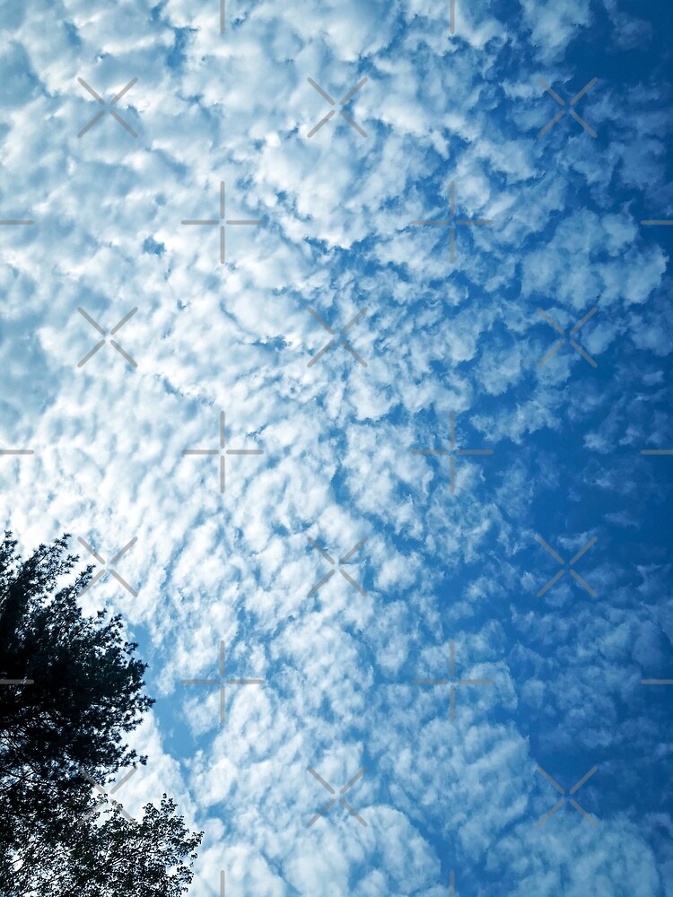 Thumbnail 3 of 3, Poster, Weather Gift - Cirrocumulus Clouds - Meteorology - Meteorologist designed and sold by OneDayArt.
