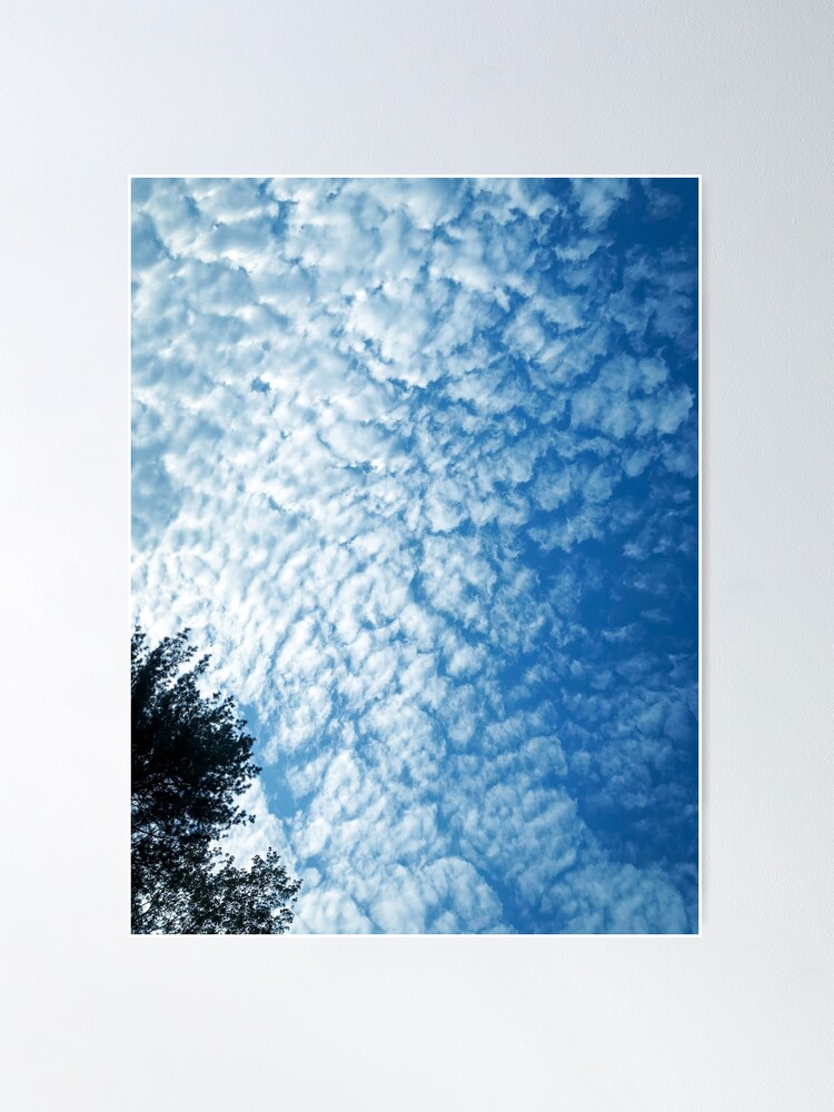 Thumbnail 2 of 3, Poster, Weather Gift - Cirrocumulus Clouds - Meteorology - Meteorologist designed and sold by OneDayArt.