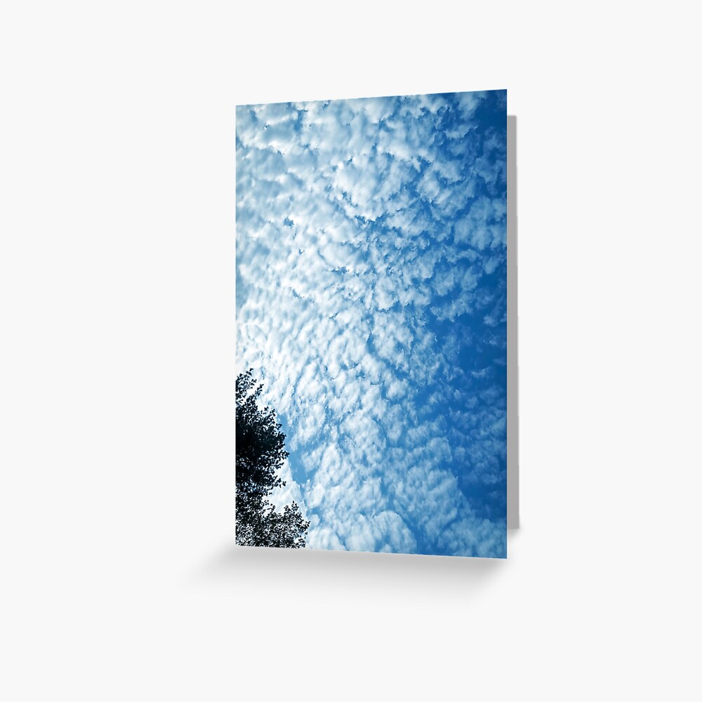 Weather Gift - Cirrocumulus Clouds - Meteorology - Meteorologist Greeting Card