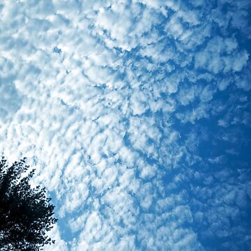 Artwork thumbnail, Weather Gift - Cirrocumulus Clouds - Meteorology - Meteorologist by OneDayArt