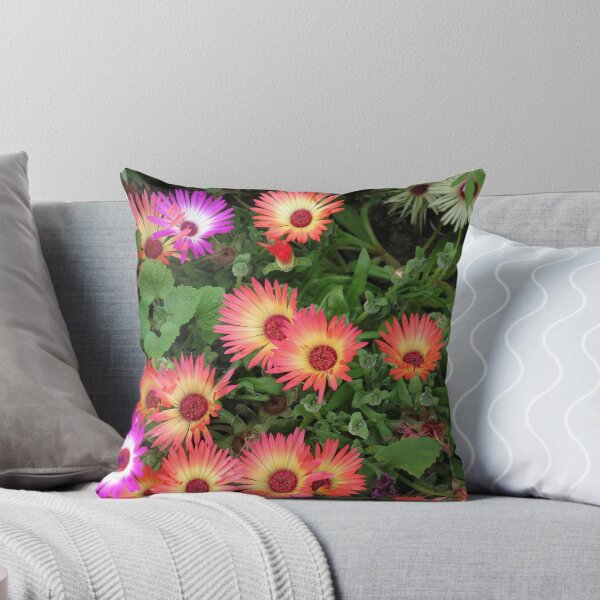 Item preview, Riot of Colour - Pretty Livingstone Daisies designed and sold by BlueMoonRose.