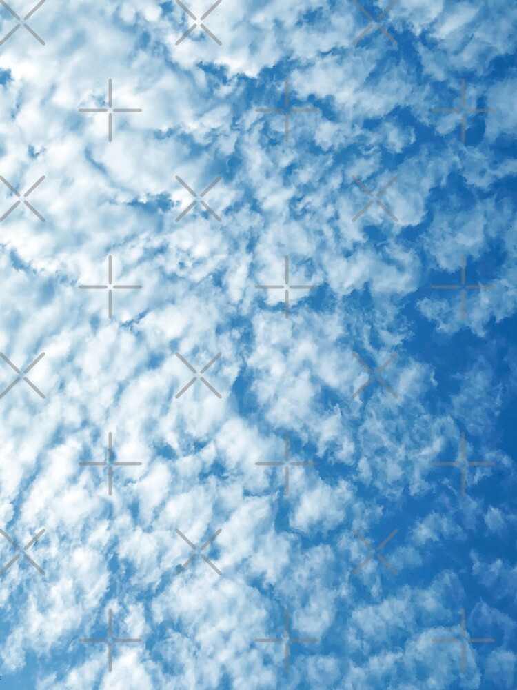 Weather Gift - Cirrocumulus Clouds - Meteorology - Meteorologist by OneDayArt