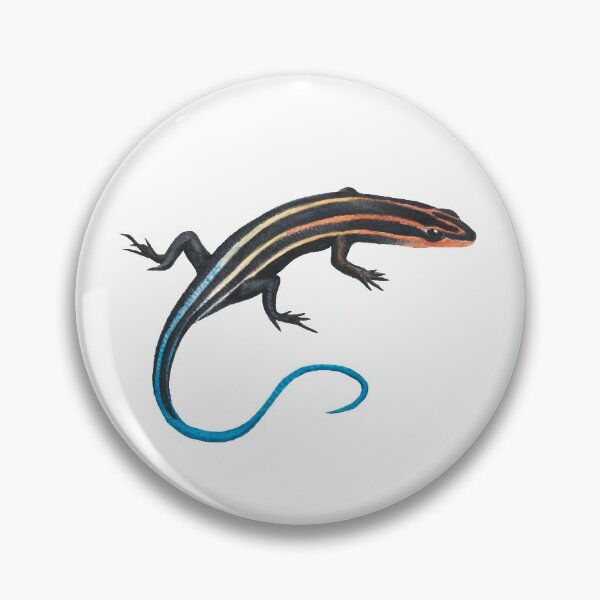 Artikelvorschau, Fünfzeiliger Skink entworfen und verkauft von Alexis Rodefer.