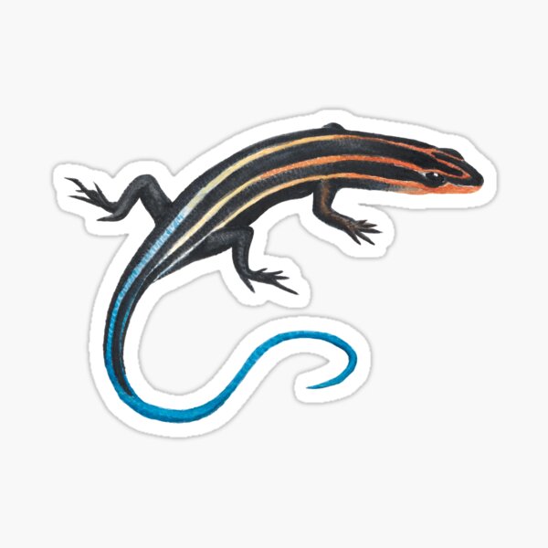 Item preview, Five-Lined Skink designed and sold by Alexis Rodefer.