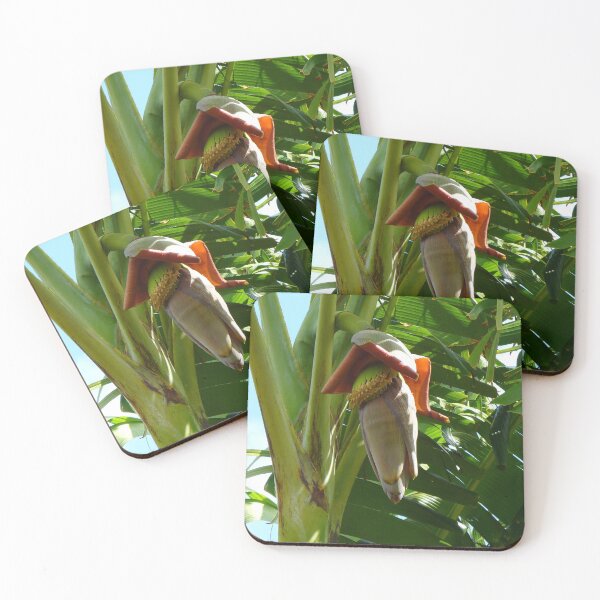 Item preview, Banana Tree Flower designed and sold by KaSaPo.