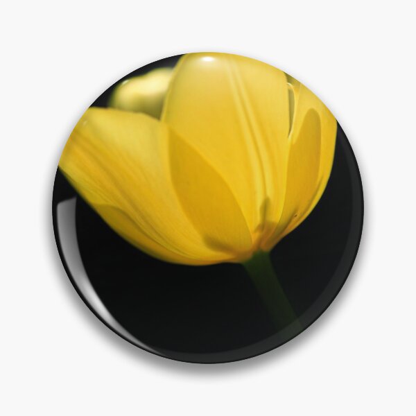 Item preview, Yellow tulip on black background designed and sold by olena2552.