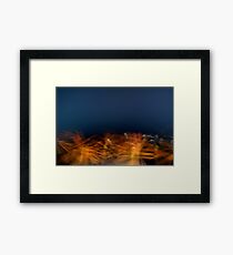 Orange blossoms Framed Print