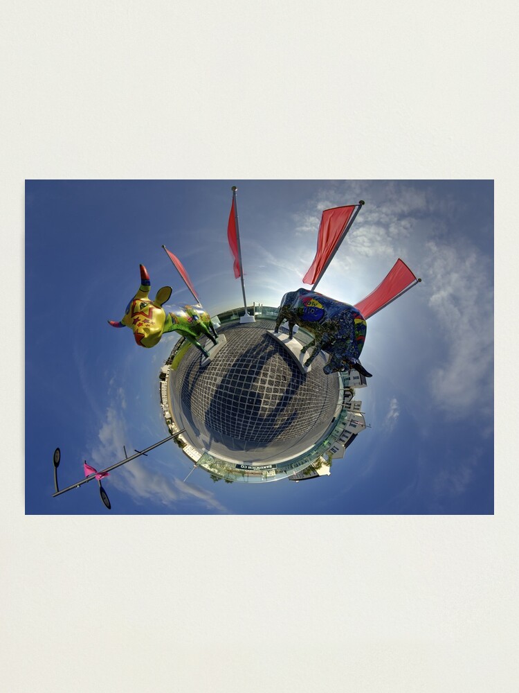 Alternate view of Two Cows on Parade, lower - Ebrington Square, Derry Photographic Print