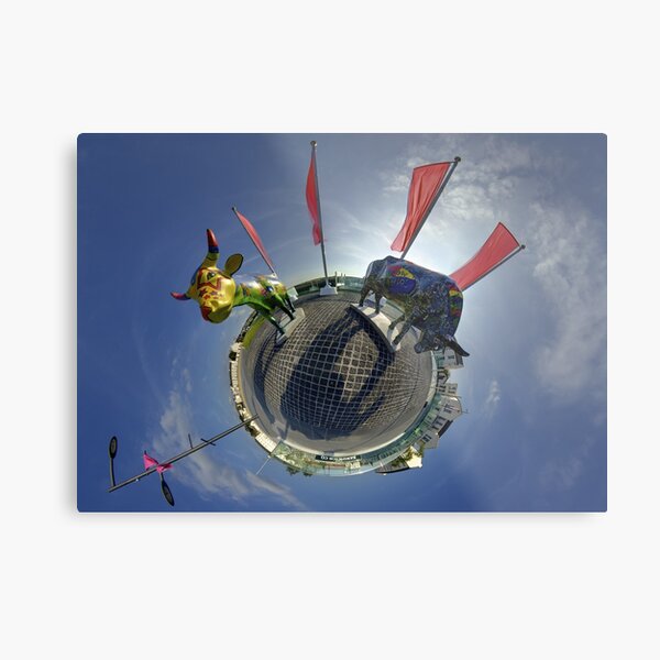 Two Cows on Parade, lower - Ebrington Square, Derry Metal Print