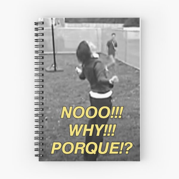 Item preview, NO WHY PORQUE sticker the Strokes In Transit  designed and sold by ClodetteDesigns.
