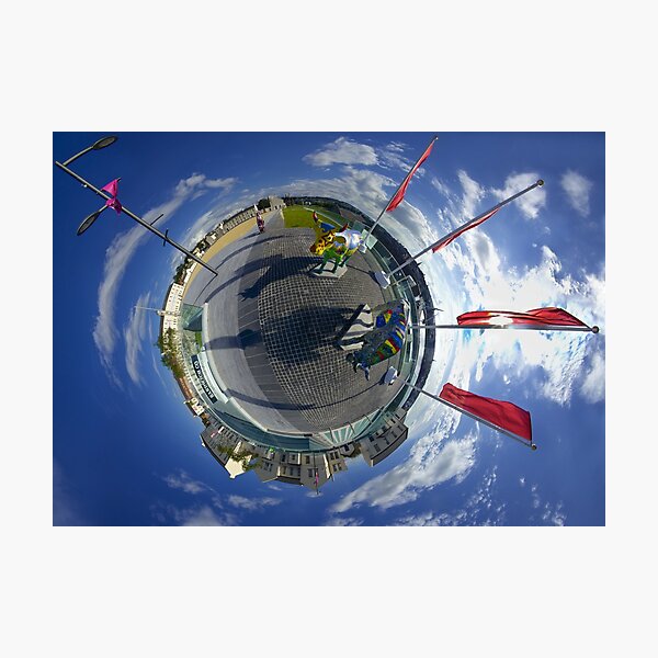 Two Cows on Parade - Ebrington Square, Derry Photographic Print