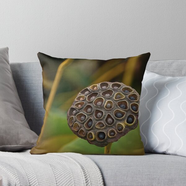 Item preview, Lotus seedpod double faces designed and sold by Owed To Nature.