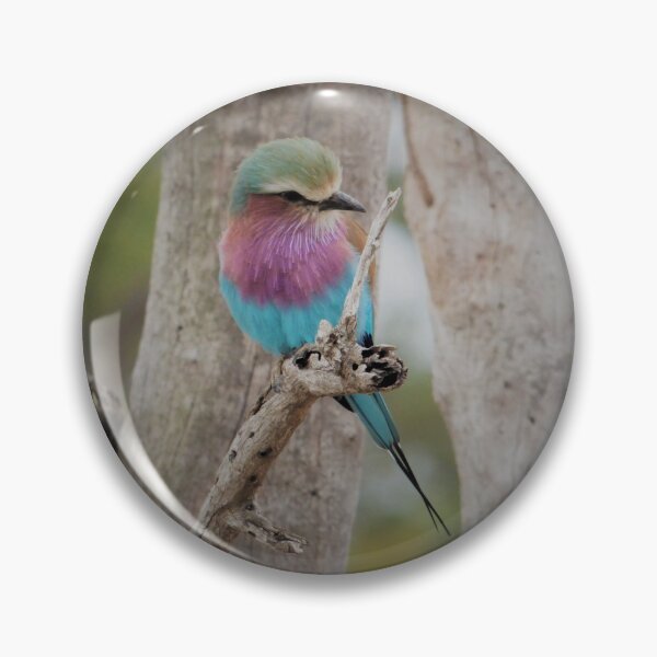 Item preview, Vermillion Flycatcher designed and sold by KDQuin .