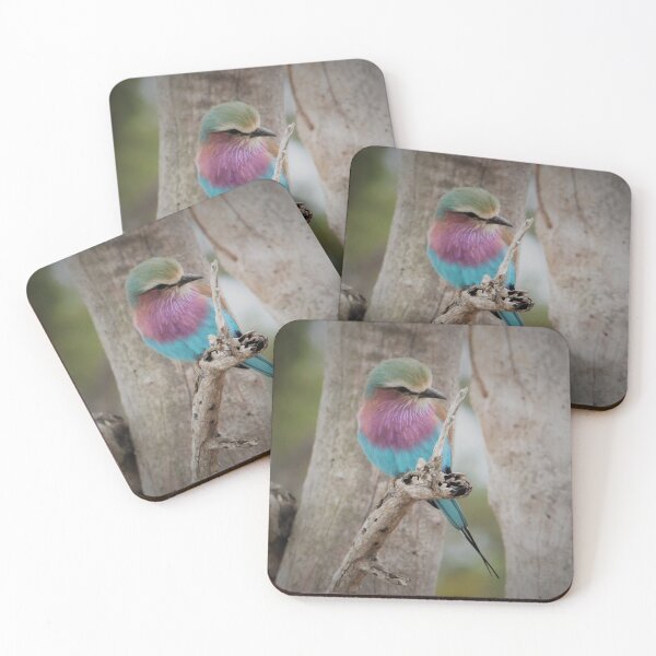 Item preview, Vermillion Flycatcher designed and sold by KDQuin .