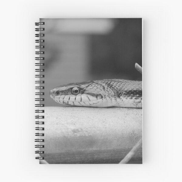 Item preview, Serpiente en valla en blanco y negro designed and sold by FlashnScribble.