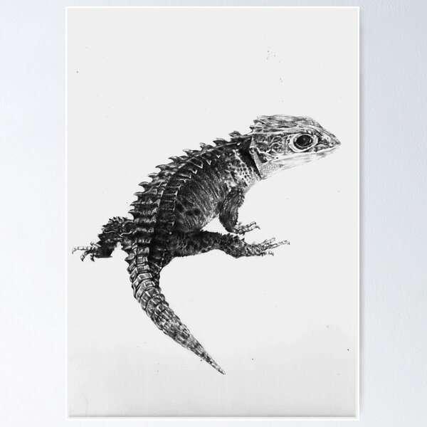 Item preview, Red eyed crocodile skink designed and sold by Rebecca Koller.