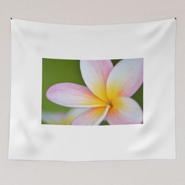 Item preview, Frangipani designed and sold by TheaShutterbug.
