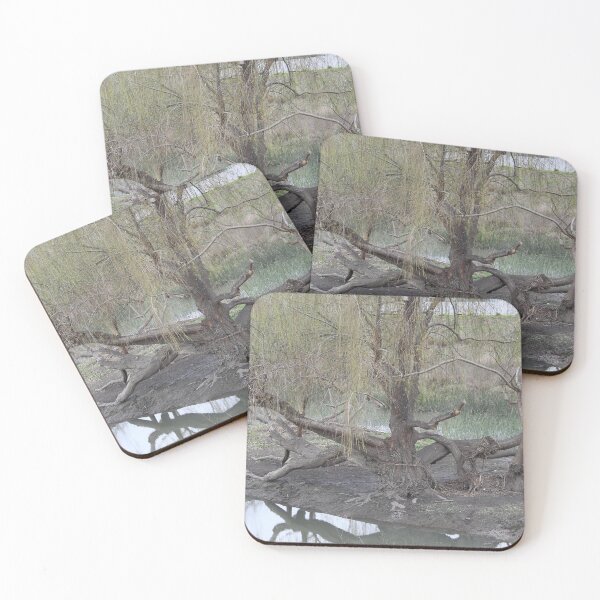 Item preview, Trees Growing in the River designed and sold by Martha Sherman.