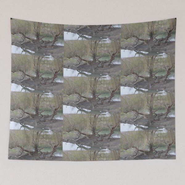 Item preview, Trees Growing in the River designed and sold by Martha Sherman.