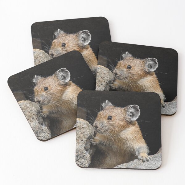 Item preview, Pika Looking out from its Burrow designed and sold by Jeff Goulden Photography.