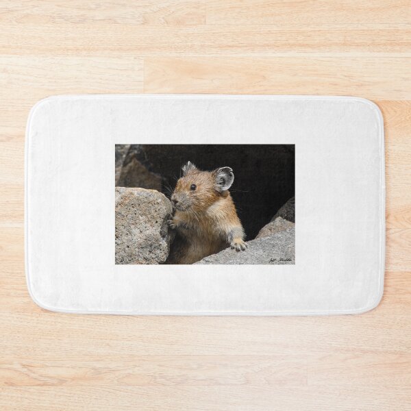 Item preview, Pika Looking out from its Burrow designed and sold by Jeff Goulden Photography.